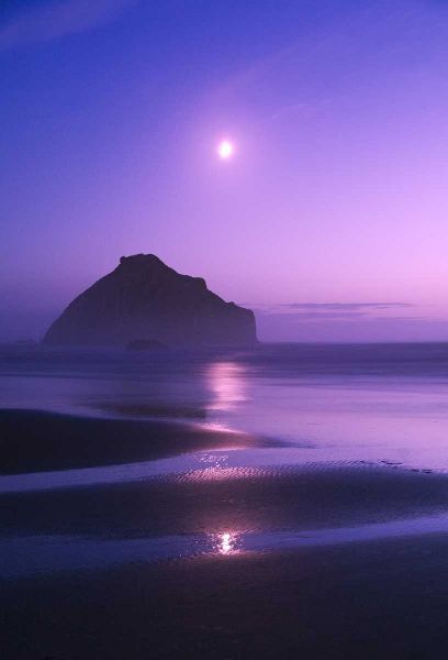 USA, Oregon Moonrise over Face Rock